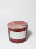 Aromatic Sun-n-Fun 12 oz scented candle