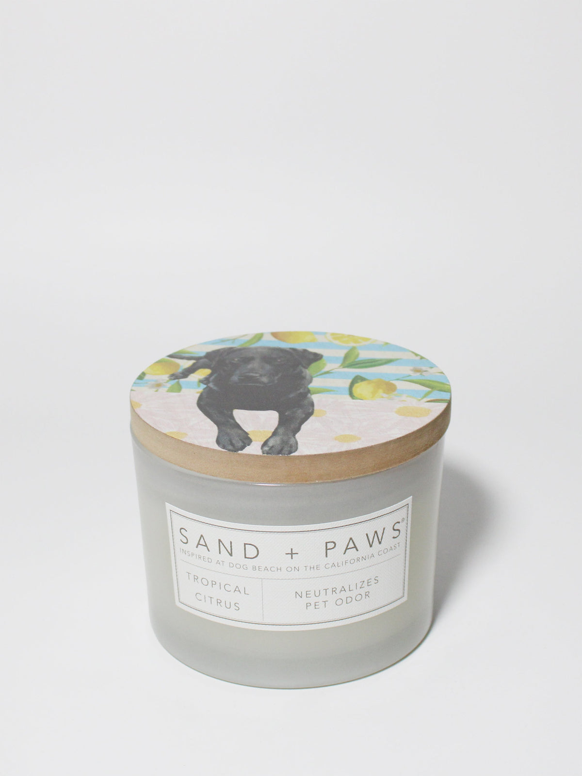 Aromatic Sand + Paws Tropical Citrus 12 oz scented candle