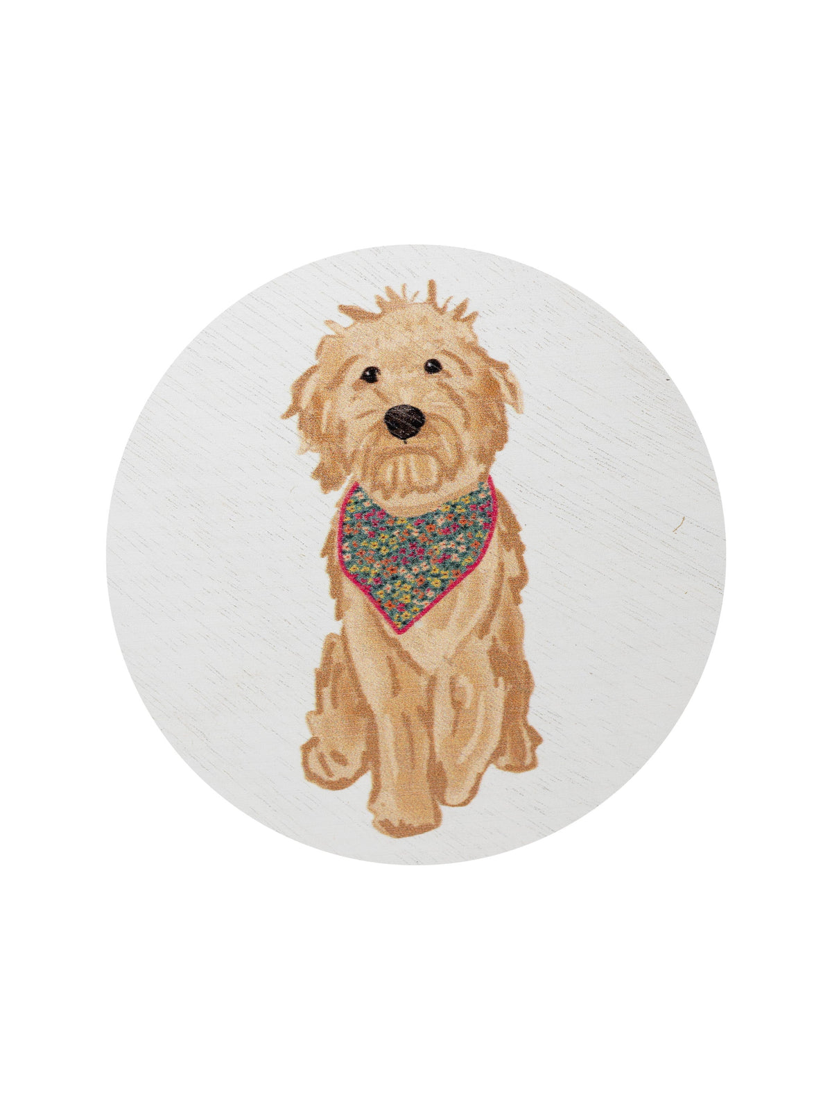 Aromatic Sand + Paws Laundry Day 12 oz scented candle