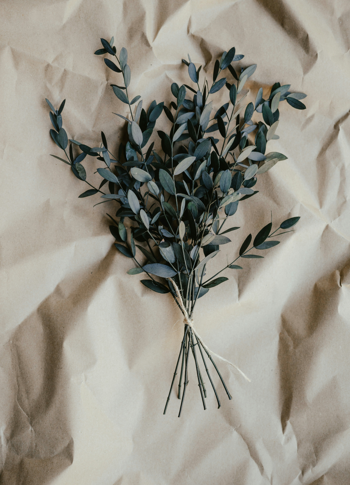 Elegant Eucalyptus 107 ml Room Spray