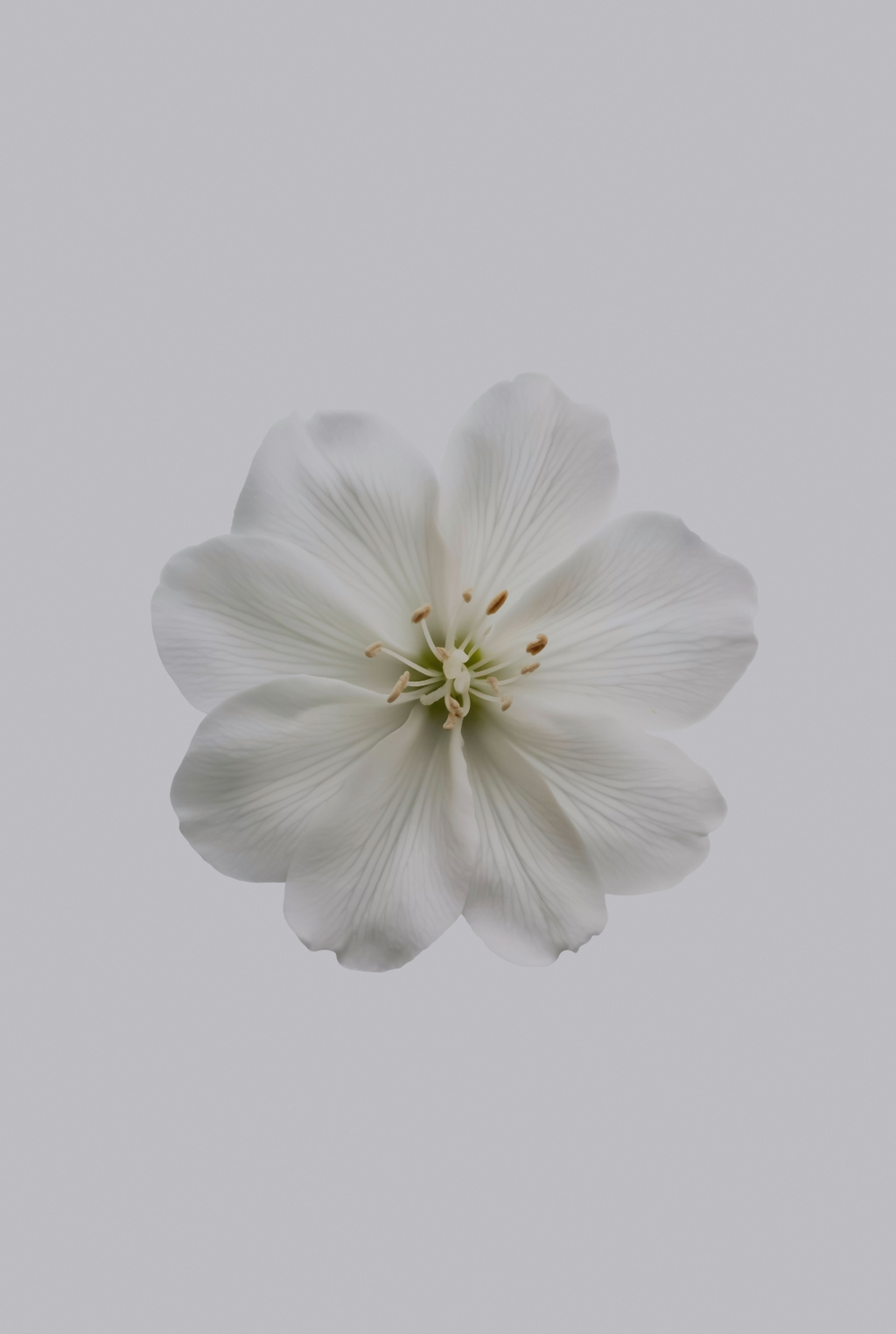 Elegant Fresh Jasmine 180 ml Reed Diffuser
