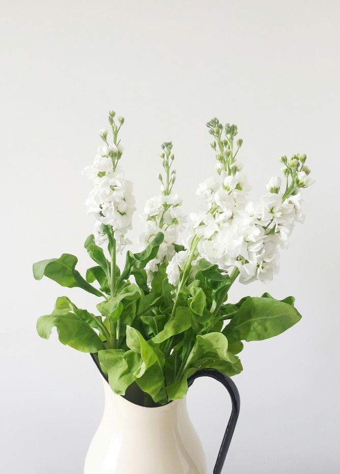 Elegant White Flowers 15.7 oz Liquid Hand Soap