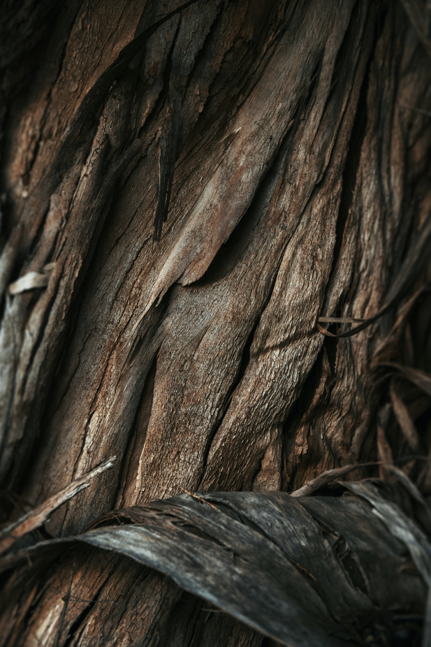 Natural Vanilla Sandalwood 15.7 oz Liquid Hand Soap