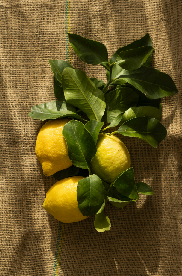 Elegant Olive Lemon Modern Heirloom 15.2 oz Liquid Hand Soap
