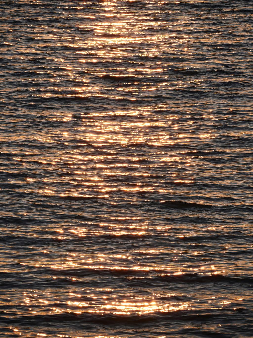 Elegant Golden Glow 70 ml Eau de Toilette